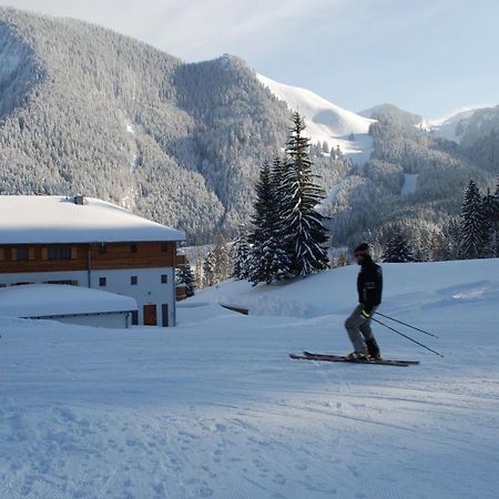 Hostel Blsv Sportcamp Direkt Am Kurvenlift Schliersee Exterior foto